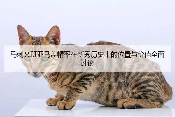 马刺文班亚马盖帽率在新秀历史中的位置与价值全面讨论